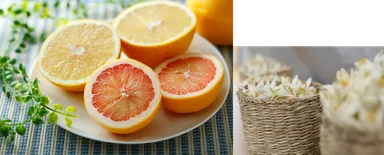 ホワイトシトラスミント