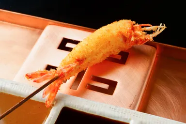 六波羅秘伝の衣(フリッター) 1