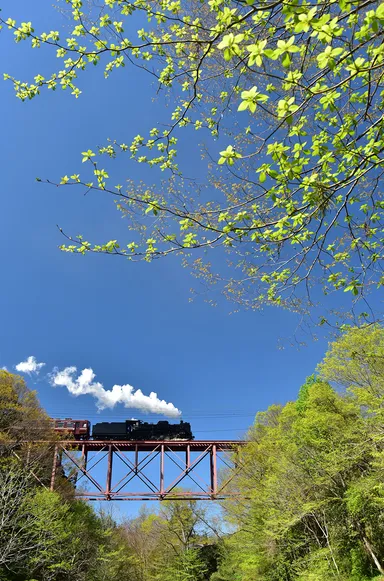 SLパレオエクスプレス3