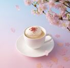 山桜のミルク珈琲