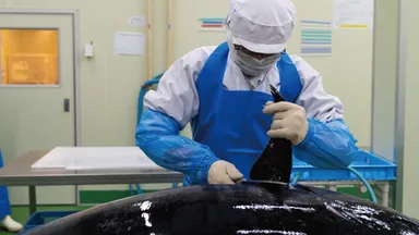 辻水産HACCP認定加工場