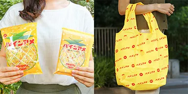 パッケージタイプエコバッグ製作例2