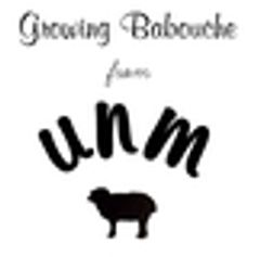 合同会社 akari  のロゴ