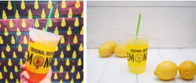 LEMONADE BY LEMONICA