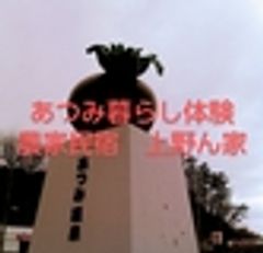 農家民宿　上野ん家のロゴ