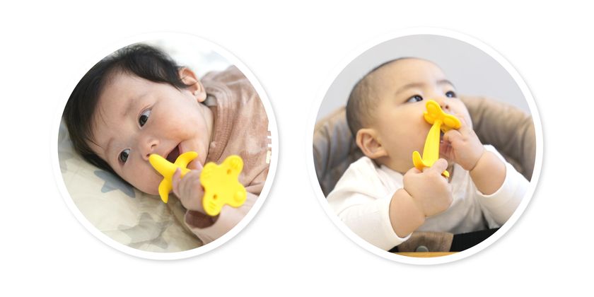 累計販売数200万個以上突破“まるで本物のバナナを食べているみたい”【バナナの歯がため】が新発売｜株式会社ケイジェイシーのプレスリリース