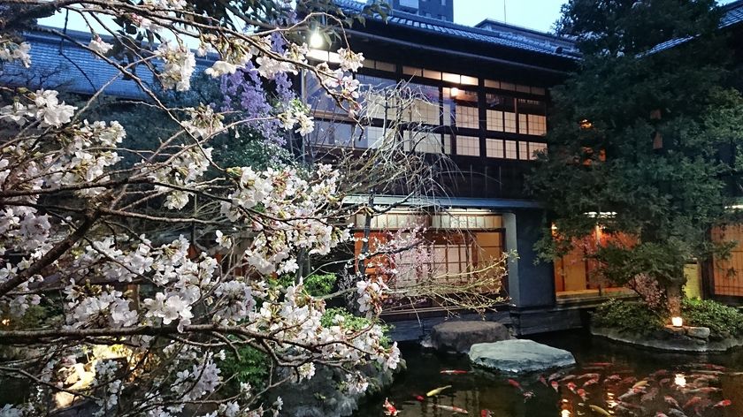 Withコロナのお花見シーズン到来 今年は築地の老舗高級料亭で 完全個室 桜会席 テイクアウト ごちそう箱 2つのお得なプランを つきじ治作 にて提供開始 長谷観光株式会社 つきじ治作のプレスリリース Withコロナのお花見シーズン到来 今年は築地の老舗高級料亭で 完全個室 桜会席 テイクアウト ごちそう箱 2つのお得なプランを つきじ治作 にて提供開始 長谷観光株式会社 つきじ治作のプレスリリース