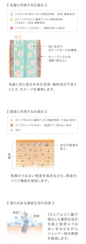 五感に満ちる 最上質 シャンプー トリートメントの新製品 コタクチュール が5月13日発売 コタ株式会社のプレスリリース 五感に満ちる 最上質 シャンプー トリートメントの新製品 コタクチュール が5月13日発売 コタ株式会社のプレスリリース