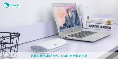 軽量ケースタイプ