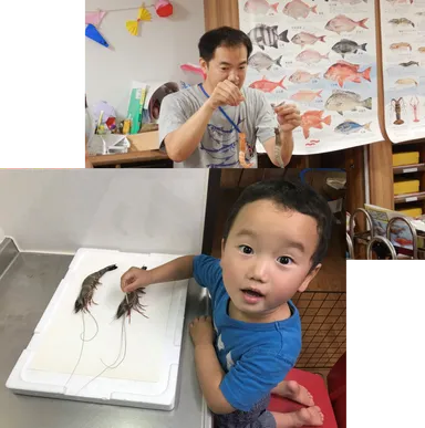 エビ博士イカ博士