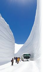 雪の多い年には高さ20mにも迫る雪の大谷