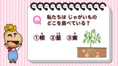 クイズ：じゃがいものどこを食べている？