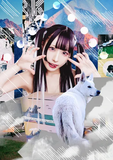 小狼 ソラ(最狂シルバー担当)