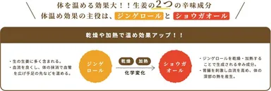 ジンゲロールとショウガオール