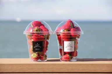 「幸せのいちご農園の摘みたていちご」　1パック600円(税別)