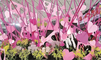 東京都「東京ドーム 世界らん展2010」特別展示