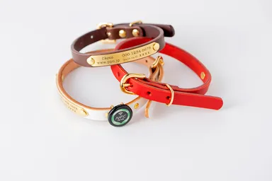 名前入りの首輪