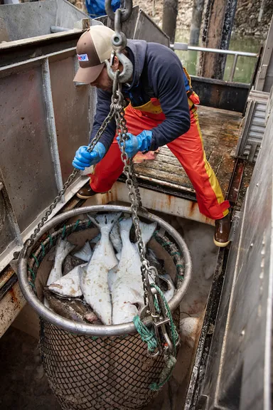 ブランドイメージ-3