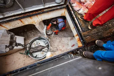 ブランドイメージ-8