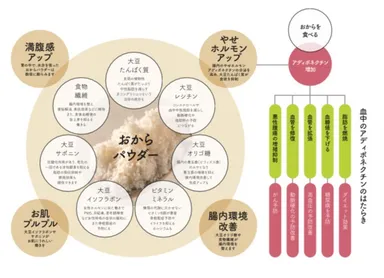 おからパウダーの働き