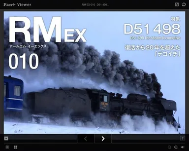 RM EX 010
