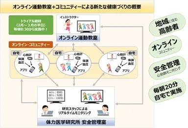 オンライン健康づくりシステムのイメージ図