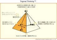 Trigonal Thinking(TM)