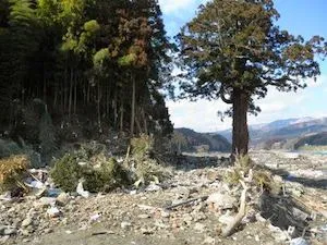 震災直後の今泉天満宮