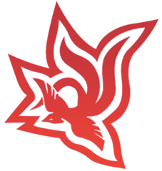 読み込み最大800MB/sのPCIe SSD RAIDカード　
爆速処理と安定感、OSフリーの作業環境をあなたの自宅にも　
『Wings』＆『Crest』国内販売、1月10日より開始！！