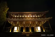 東福寺ライトアップ貸切ツアー(1)