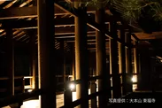 東福寺ライトアップ貸切ツアー(3)