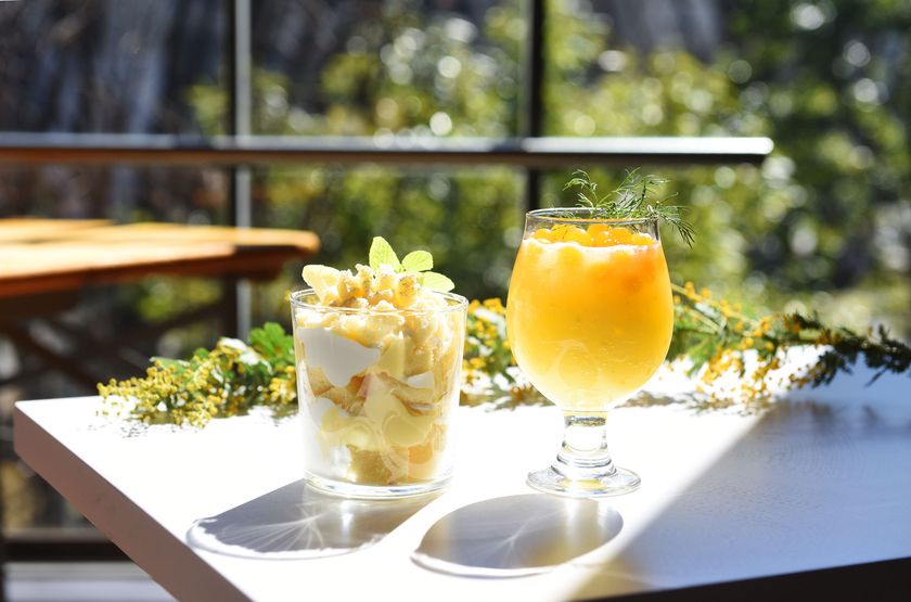 ～東京都立川市にある体験型フラワーショップと
カフェの複合店舗～
フラワーライフスタイルブランド
「FLOWERS Bake & Ice Cream」
3月8日（月）　国際女性デー　
ミモザの日キャンペーン展開中
