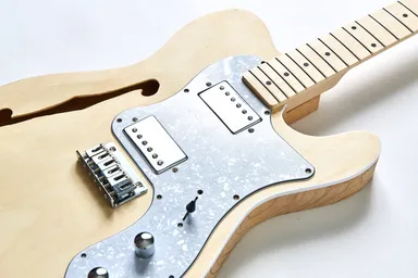 TLデラックスセミホロウタイプ