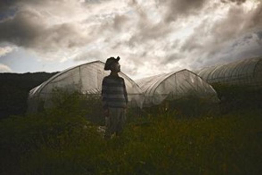 大地にやさしい農業を応援する
SHARE THE LOVE for JAPAN10周年企画　
「だから、私は今日も畑に立っている」を
3月11日(木)から公開スタート　
どこへ行こうが、想いは変わらない