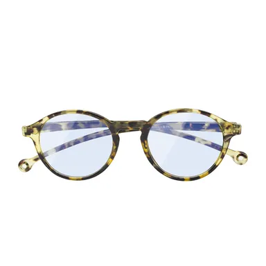 ボルガ、モロッコトータス