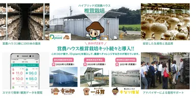 ハイブリット式営農ハウス「D-plant」