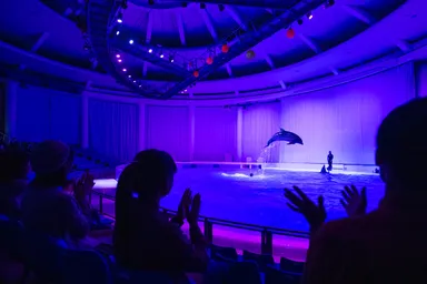 オーシャンナイトライブ