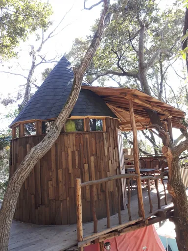 ツリーハウス