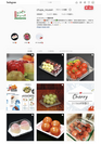 総合食品容器メーカー　エフピコチューパ　Instagram・Twitterページを2021年3月に開設
