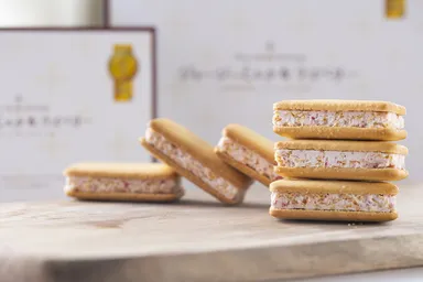 エアインチョコサンドクッキー