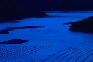 伊勢志摩から届く二枚貝