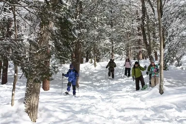 ひるがの高原スノーウオークイメージ