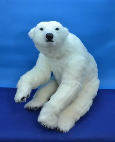 座った姿(正面)