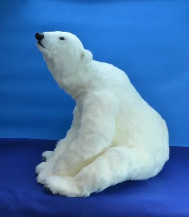 座った姿(側面)