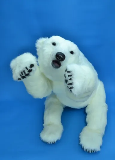 前足を上げた姿