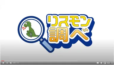 動画キャプチャ