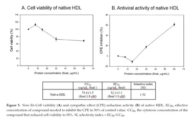 ＜健康で質が高いHDLの新型コロナウイルス（COVID-19）に対する抗ウイルス活性＞