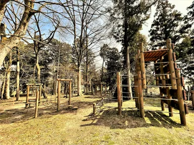 ぼうけんアスレチック