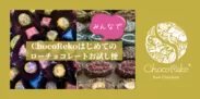 【ChocoRekoはじめてのローチョコレート：みんなでお試し便】