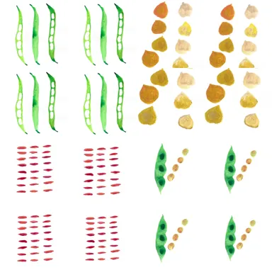 旨みたっぷりの豆いろいろ